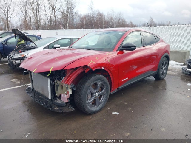 2023 Ford Mustang Mach-e Select მანქანა იყიდება აუქციონზე, vin: 3FMTK1SS6PMA43028, აუქციონის ნომერი: 12492535