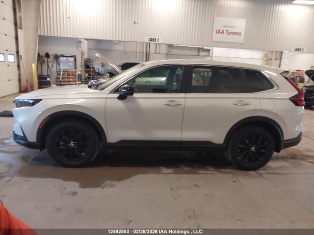 2HKRS6H70RH205419 Honda CR-V EXL