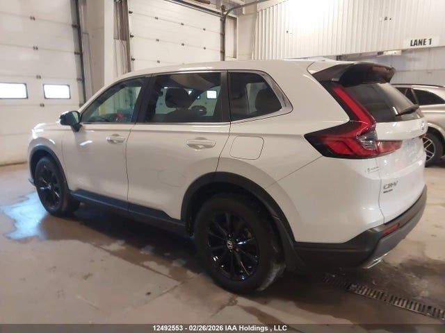 2HKRS6H70RH205419 Honda CR-V EXL