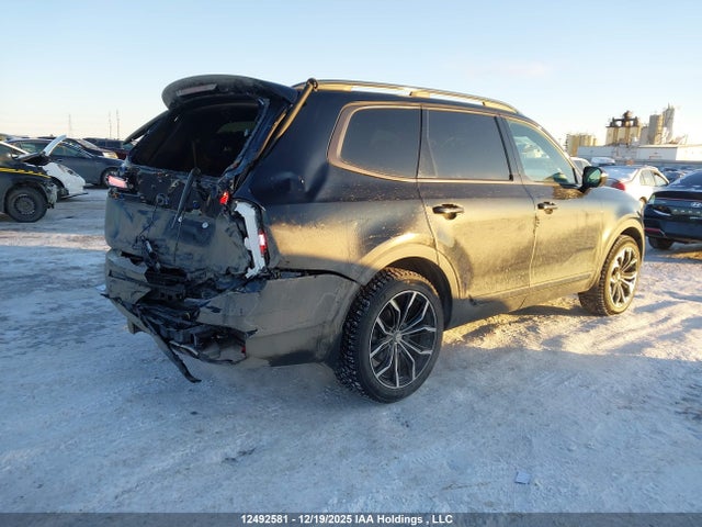 12492581 :رقم المزاد ، 5XYP5DGC2RG548743 vin ، 2024 Kia Telluride Sx/sx Limited/x-line/x-pro مزاد بيع