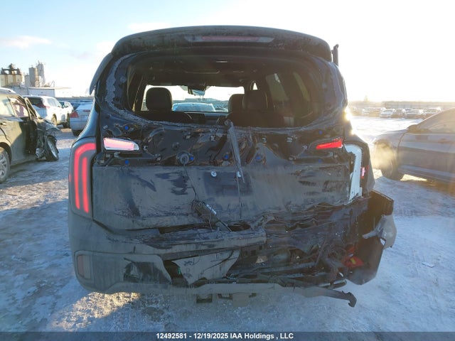 12492581 :رقم المزاد ، 5XYP5DGC2RG548743 vin ، 2024 Kia Telluride Sx/sx Limited/x-line/x-pro مزاد بيع