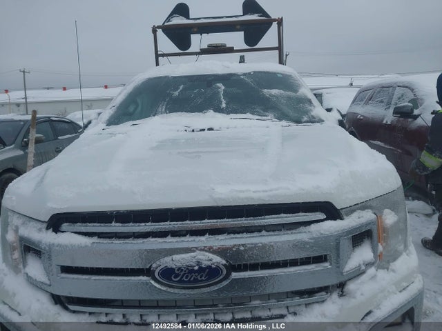 Aukcja sprzedaży 2020 Ford F150 Super Cab, vin: 1FTEX1CP3LKE30596, numer aukcji: 12492584