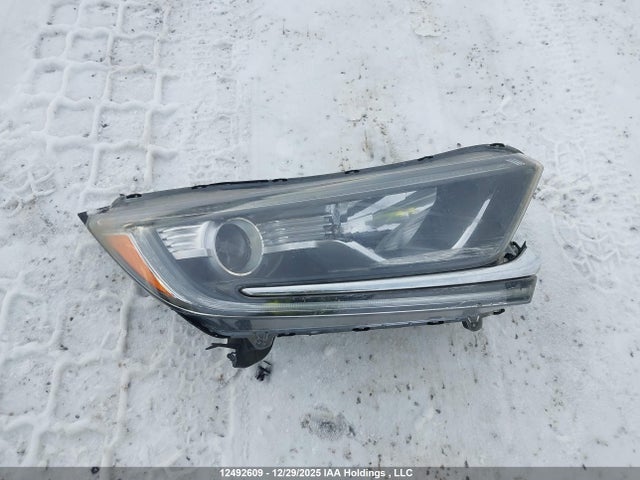 2HKRW2H48LH206280 Honda Cr-v Sport