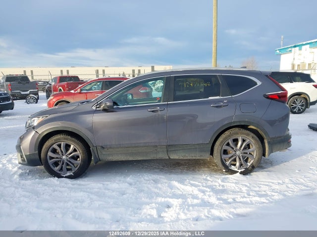 2HKRW2H48LH206280 Honda Cr-v Sport