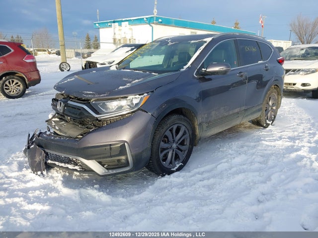 2HKRW2H48LH206280 Honda Cr-v Sport