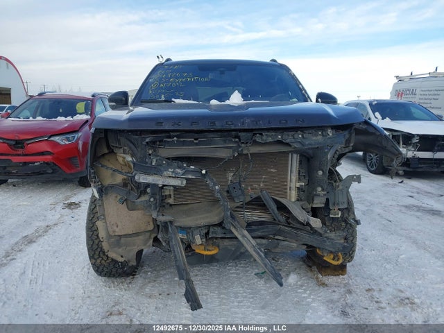 2025 Ford Expedition Tremor მანქანა იყიდება აუქციონზე, vin: 1FMJU1RG2SEA17012, აუქციონის ნომერი: 12492675