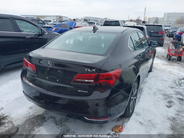 19UUB3F59GA800818 Acura TLX TECH