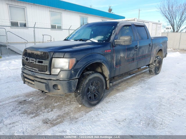 2012 Ford F150 Supercrew მანქანა იყიდება აუქციონზე, vin: 1FTFW1EF9CFA97969, აუქციონის ნომერი: 12492785