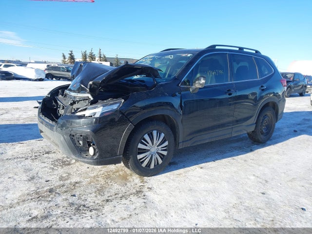 JF2SKAUCXKH531192 Subaru Forester Limited