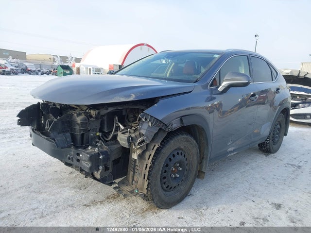 JTJGARDZ5M2241181 Lexus NX 300
