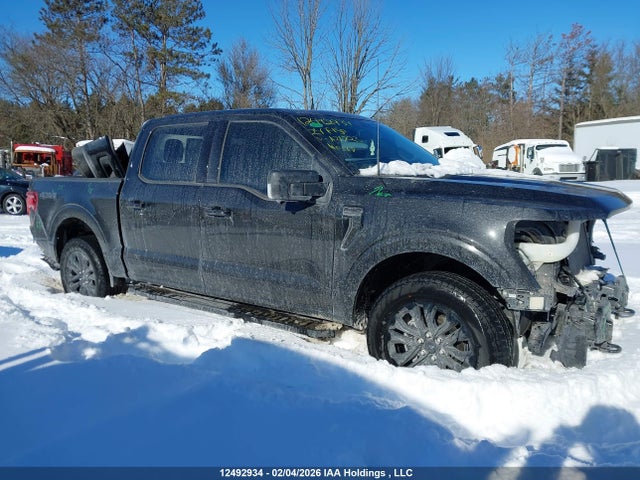 Продажа на аукционе авто 2024 Ford F-150 Xlt, vin: 1FTEW3LPXRFA21723, номер лота: 12492934
