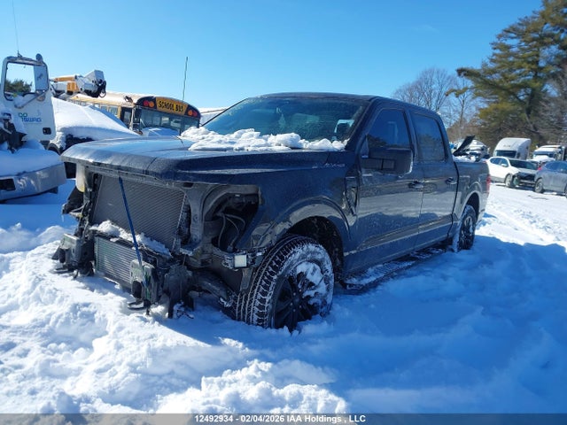 Продажа на аукционе авто 2024 Ford F-150 Xlt, vin: 1FTEW3LPXRFA21723, номер лота: 12492934