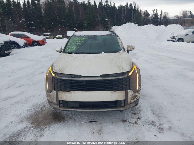 KNDPVDDG1T7287813 KIA Sportage Hybrid Ex/ex Premium