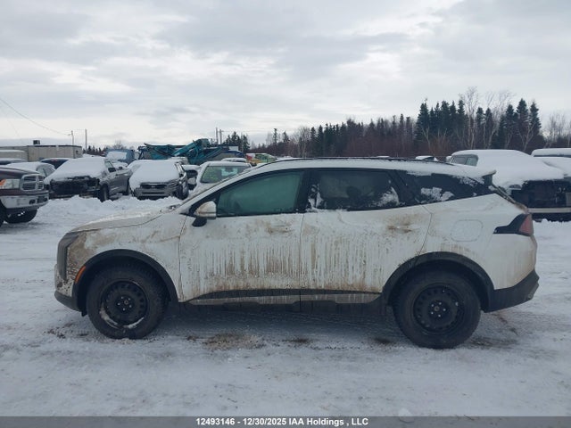 KNDPVDDG1T7287813 KIA Sportage Hybrid Ex/ex Premium