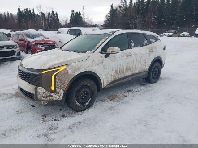 KNDPVDDG1T7287813 KIA Sportage Hybrid Ex/ex Premium
