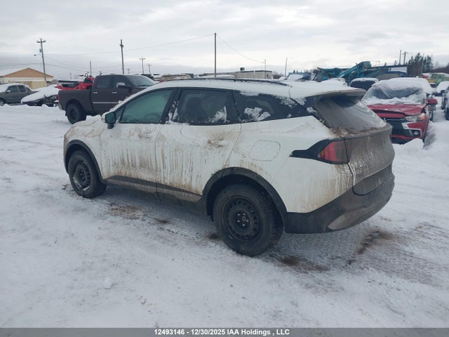 KNDPVDDG1T7287813 KIA Sportage Hybrid Ex/ex Premium