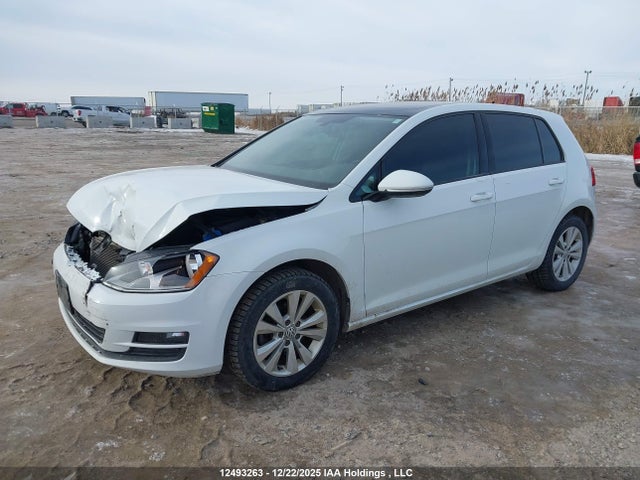 3VW217AU6HM032246 Volkswagen Golf 1.8 Tsi Comfortline/1.8 Tsi Highline/1.8 Tsi Trendline