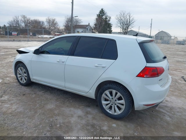 3VW217AU6HM032246 Volkswagen Golf 1.8 Tsi Comfortline/1.8 Tsi Highline/1.8 Tsi Trendline