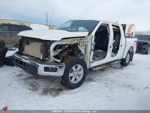 Aukcja sprzedaży 2025 Ford F150 Xl, vin: 1FTEW1LP2SKD40325, numer aukcji: 12493356