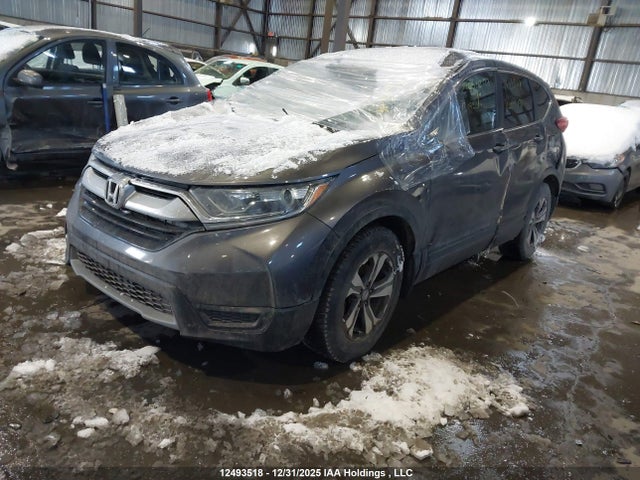 2HKRW1H35HH003131 Honda CR-V LX