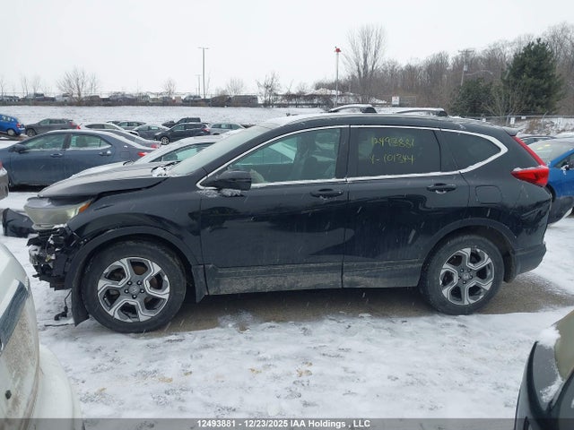2HKRW2H89JH101344 Honda Cr-v Ex-l