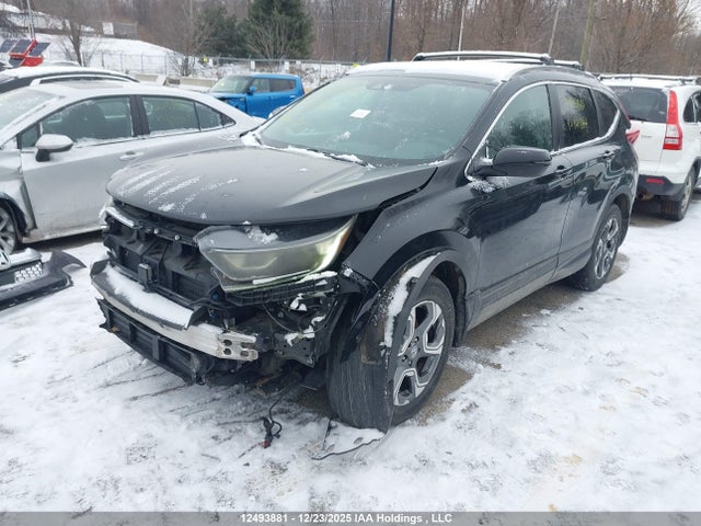 2HKRW2H89JH101344 Honda Cr-v Ex-l