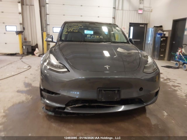 2023 Tesla Model Y Long Range მანქანა იყიდება აუქციონზე, vin: 7SAYGDEE1PF627007, აუქციონის ნომერი: 12493895