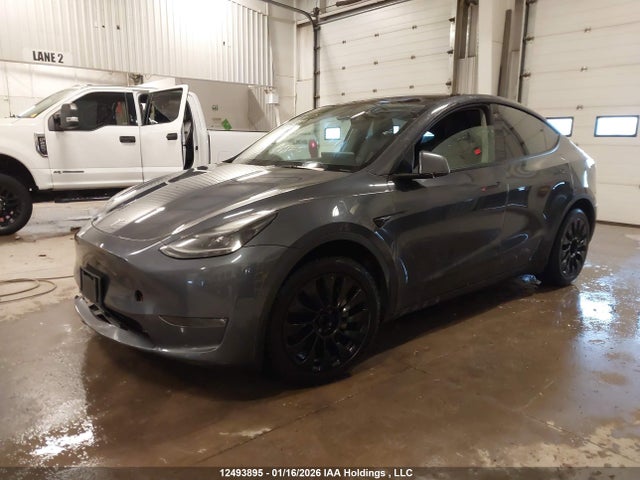 2023 Tesla Model Y Long Range მანქანა იყიდება აუქციონზე, vin: 7SAYGDEE1PF627007, აუქციონის ნომერი: 12493895