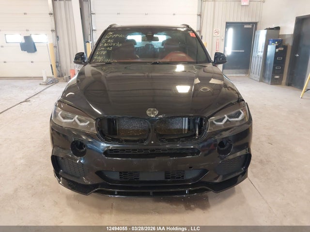 5UXKS4C50F0N05870 BMW X5 Xdrive35d
