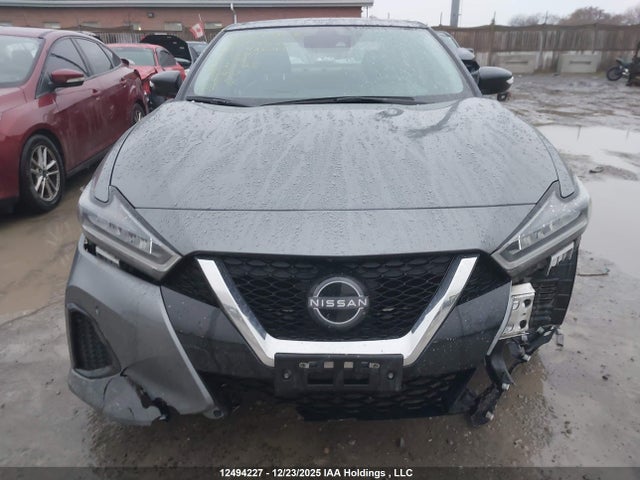 1N4AA6DV1PC510110 Nissan MAXIMA SL