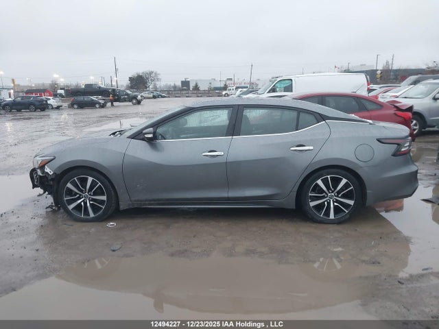 1N4AA6DV1PC510110 Nissan MAXIMA SL