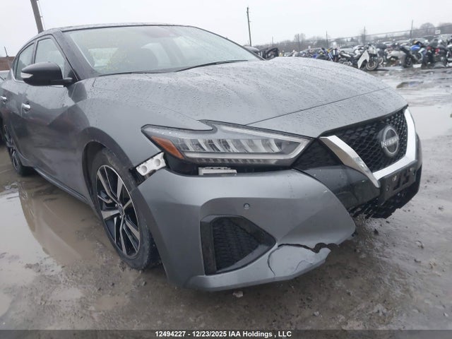 1N4AA6DV1PC510110 Nissan MAXIMA SL
