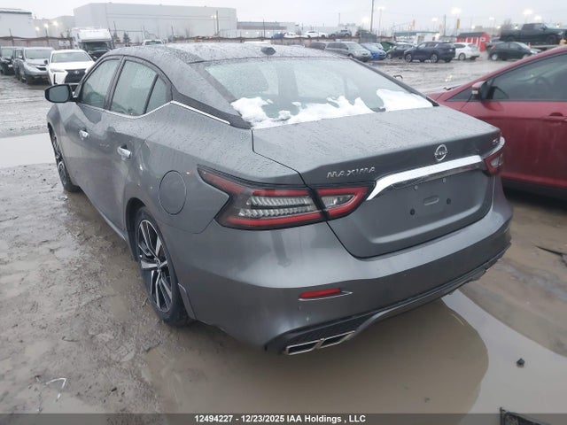 1N4AA6DV1PC510110 Nissan MAXIMA SL