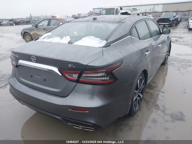 1N4AA6DV1PC510110 Nissan MAXIMA SL