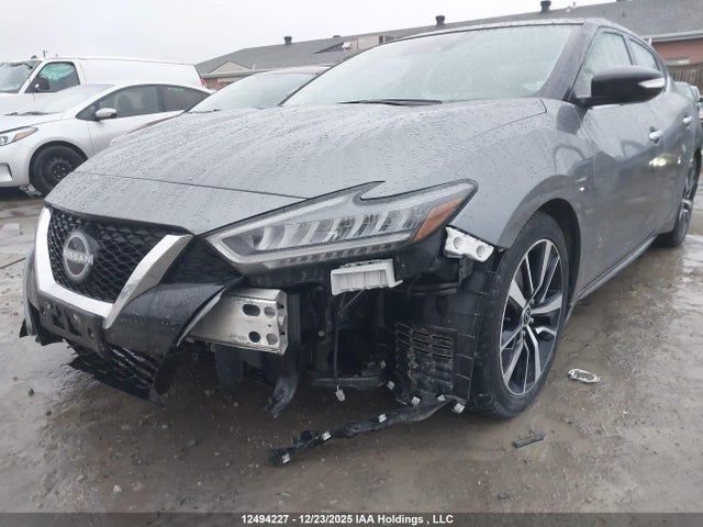 1N4AA6DV1PC510110 Nissan MAXIMA SL
