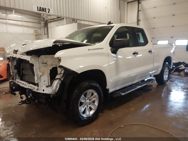 12494443 :رقم المزاد ، 1GCRDAED0RZ173572 vin ، 2024 Chevrolet Silverado K1500 مزاد بيع