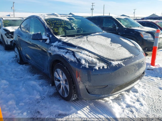5YJYGDEE7MF118029 Tesla Model Y