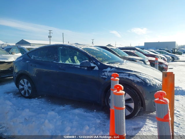 5YJYGDEE7MF118029 Tesla Model Y
