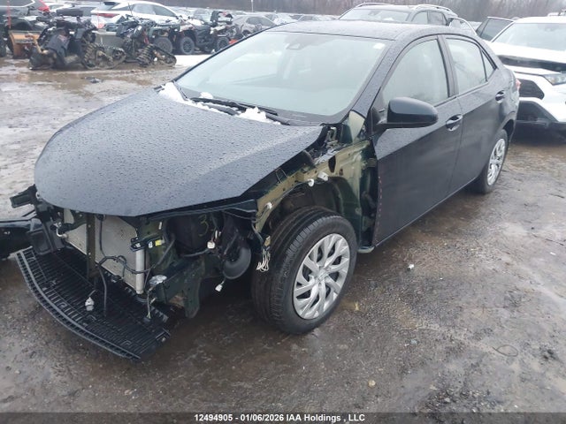 2T1BURHE5JC969012 Toyota Corolla L/le/xle/se/xse