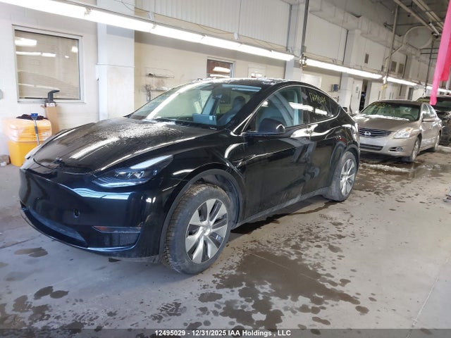 LRWYGDFD4PC162641 Tesla Model Y Rwd