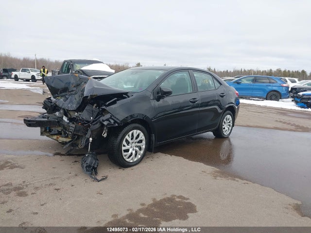 2T1BURHE3JC003337 Toyota Corolla L/le/xle/se/xse