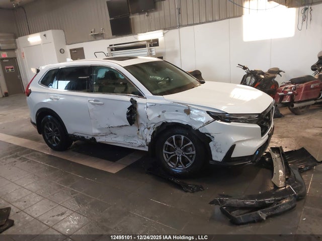 2HKRS6H73RH205186 Honda CR-V EXL