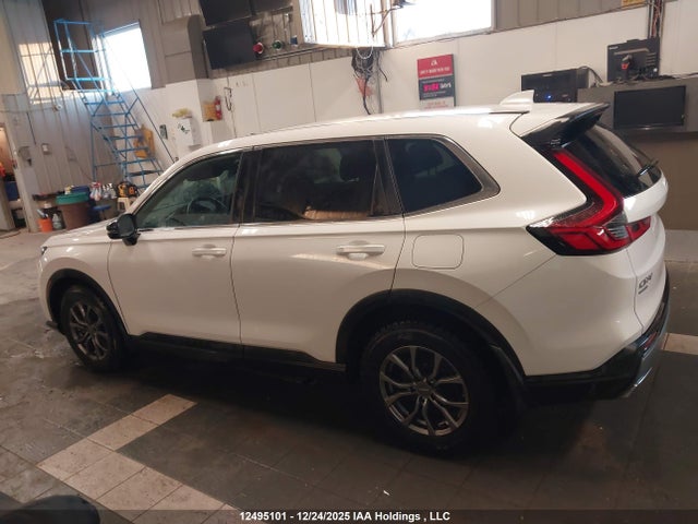 2HKRS6H73RH205186 Honda CR-V EXL