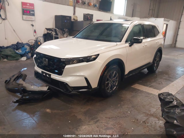 2HKRS6H73RH205186 Honda CR-V EXL