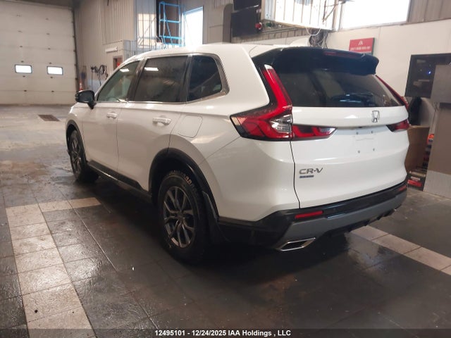 2HKRS6H73RH205186 Honda CR-V EXL