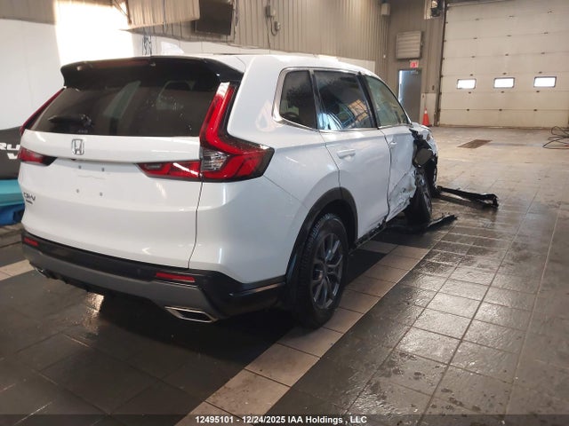 2HKRS6H73RH205186 Honda CR-V EXL