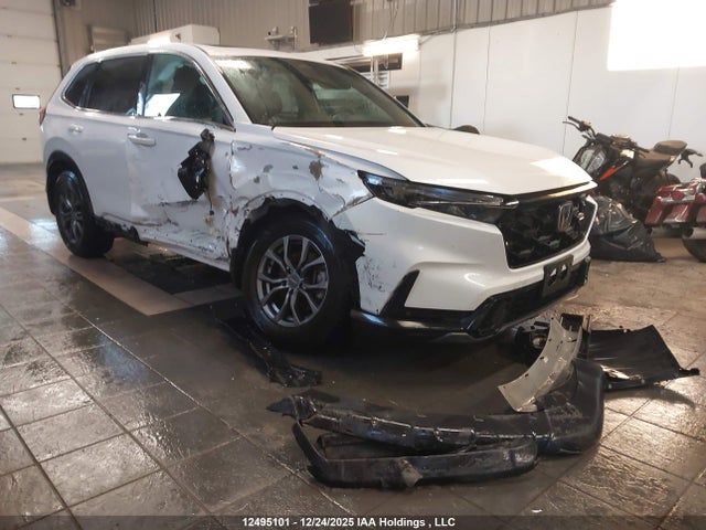 2HKRS6H73RH205186 Honda CR-V EXL