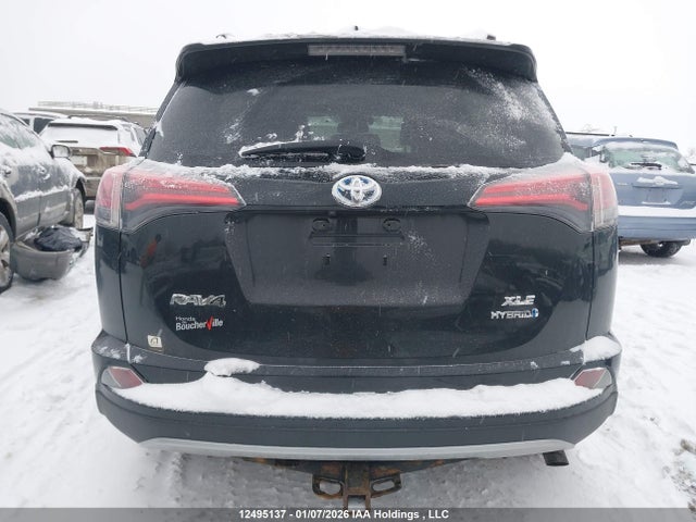 2017 Toyota Rav4 მანქანა იყიდება აუქციონზე, vin: JTMRJREV0HD096147, აუქციონის ნომერი: 12495137