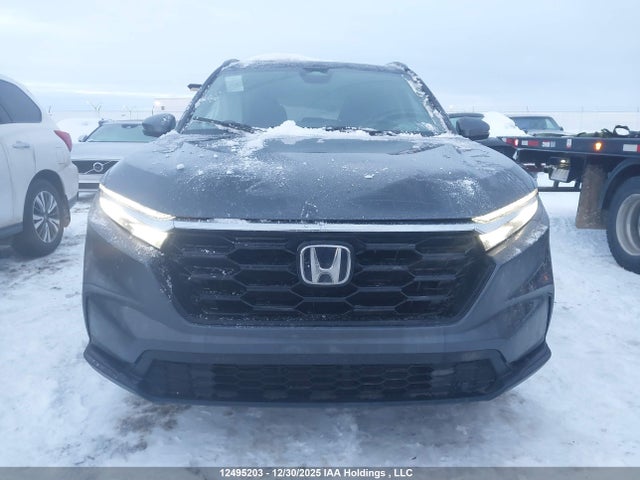 2HKRS4H56TH103942 Honda CR-V