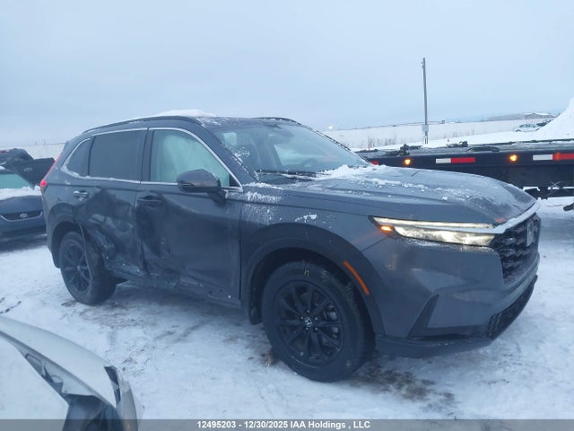 2HKRS4H56TH103942 Honda CR-V